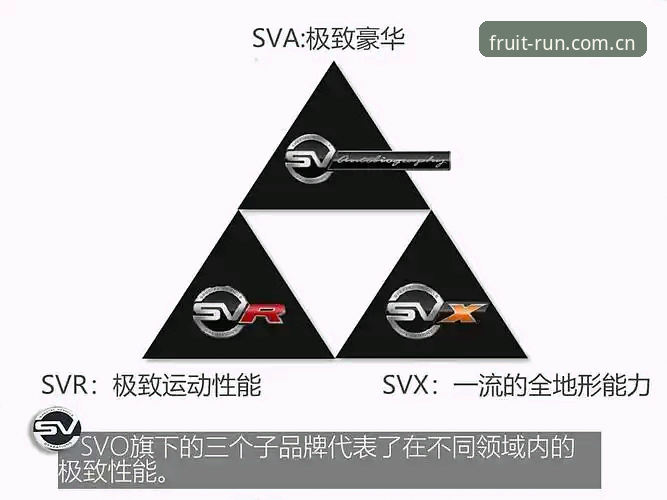奇异果体育极致运动官方下载全解析：从体验到功能的深度说明